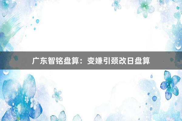广东智铭盘算:变嫌引颈改日盘算