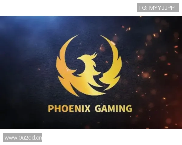 聚焦DOTA2：深入探讨V5战队的团队协作与默契配合